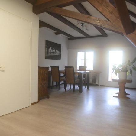 Appartements Am Bodensee Naehe Konstanz Ermatingen Eksteriør billede